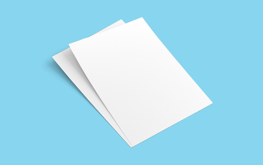 flyer print